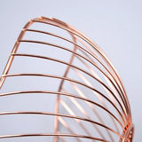 Золотое гальваническое железо, фруктовая тарелка фруктовой бассейн.