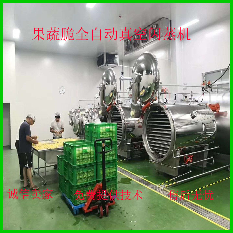 邵通苹果 脆片反压差 真空膨化机 半自动 反压差 真空膨化机
