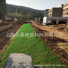 ���B�o�����Sֲ���W�Gɫ��·б����ֲ�݈@�־G���Nֲ���ѱ��o�W