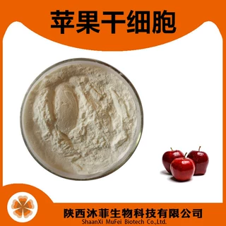 苹果干细胞 99% 破壁干细胞  苹果干细胞粉 陕西沐菲现货供应