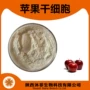 陕西破壁干细胞苹果干细胞