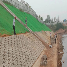 ������Nֲ���ѷ��o���Sֲ���W���B�o��߅��ɽ�w���¼ӹ��w���W