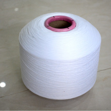 �F؛��]�ߏ��z300D �ڰ�ɫ�ߏ����z �l��������߅���p�x�C�i߅��