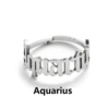 Aquarius steel color