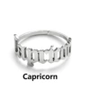 Capricorn steel color