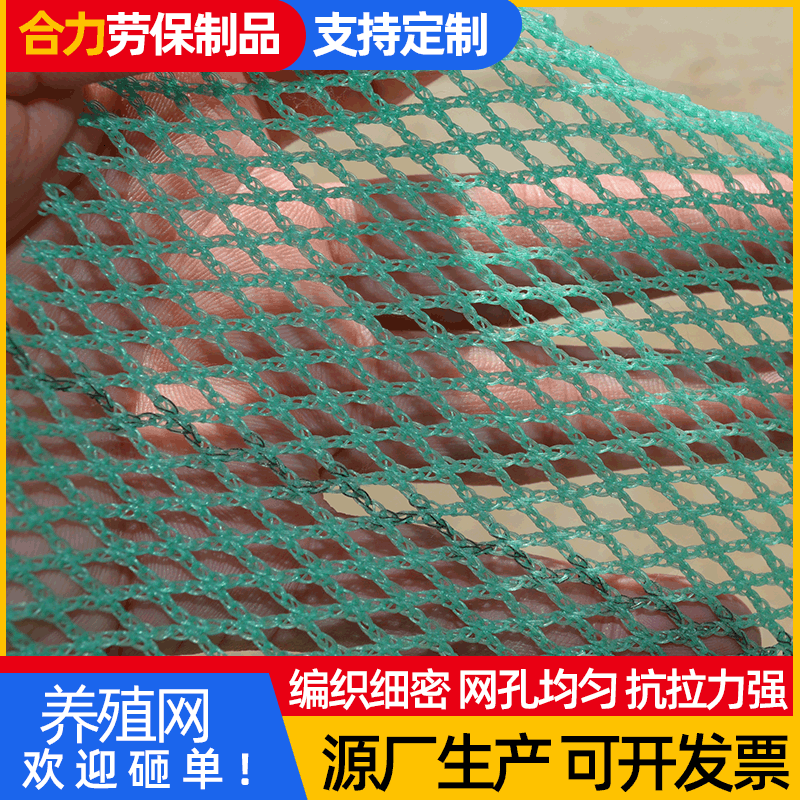 水产养殖网 海参鲍鱼塑料养殖网养鸡养鸭塑料平网养殖脚垫网