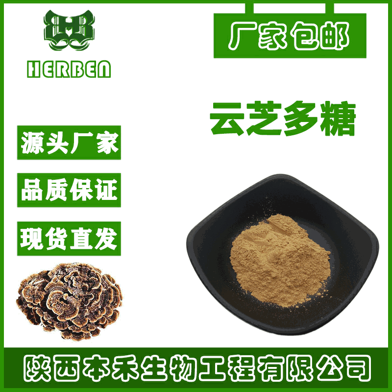 云芝多糖60% 云芝糖肽 云芝提取物 绒革盖菌 杂色云芝另有30%-95%