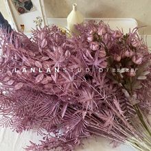 ��ɫϵ��c���� ���û�Y�����}�bٻ��ߙn��픽��� ��̨����