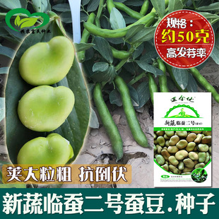 �R�Q��̖�Q���N�� �r��˵��v�������ׄ����S�Gɫ�������Q����