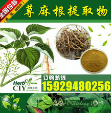 慈缘生物 SC厂家 荨麻提取物 荨麻根浓缩粉 片剂胶囊原料 可造粒