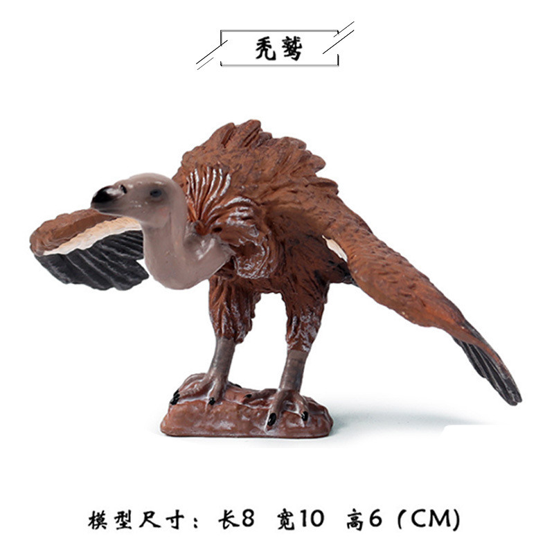 Modelo de simulación de aves sólidas para niños juguete loro Águila Flamingo Peacock Bird Toy Amazon transfronterizo