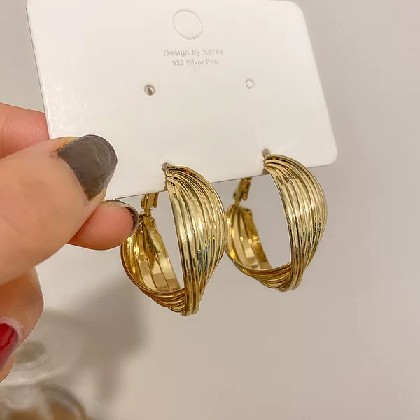 S925 Silver Needle New Elegant Twisted Ring Earrings Korean Niche Design Earrings Simple Fashion All-match Earrings