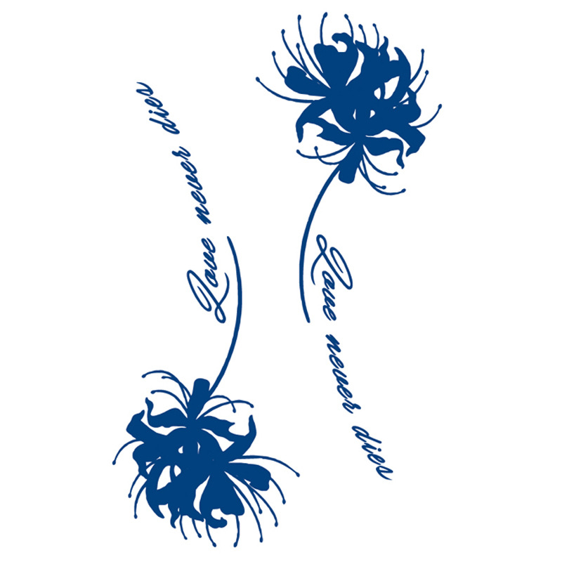 ジュースの紋章はネットの赤い紋章を貼って15日間の現物の卸売りの草本の植物の半永久の刺青のシールを持続します。