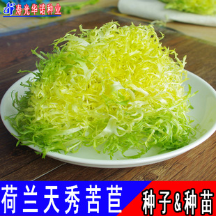 ���m������ķN�ӿ����ɳ�����˷N������պ�u������ļ��Nֲ