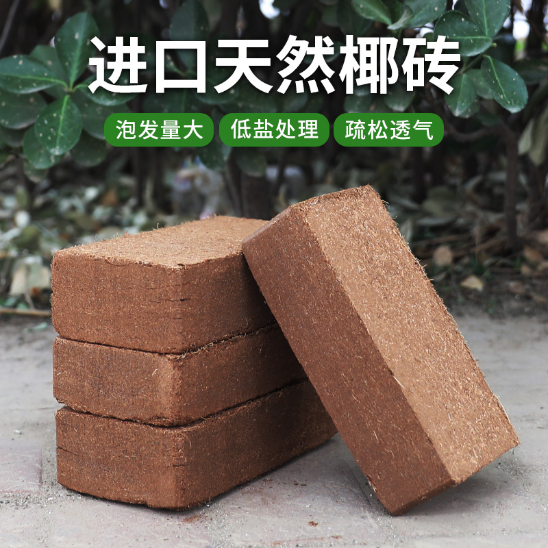 批发进口椰砖营养土椰糠砖粗椰壳椰土种花种菜脱盐土壤种多肉基质