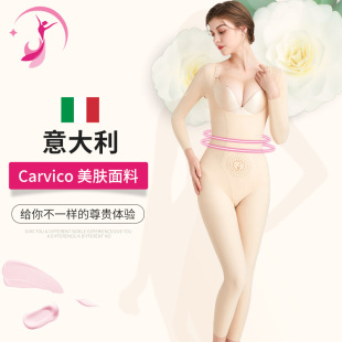 �����carvicoɽ�軨���w�������ո����������B�w�������w���L��