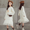 Small princess costume, demi-season cute dress for elementary school students, long sleeve, for secondary school, family style