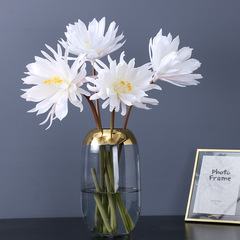 Simulated Dendrobium Flower Hand Holding a Single Dendrobium Flower Hanfu Costume Photo Prop Home Living Room Ornament Single Large Dendrobium Flower