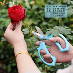 Flower companion shadow florist scissors round head branch scissors rose flower pruning flower arrangement scissors florist scissors flower shop supplies