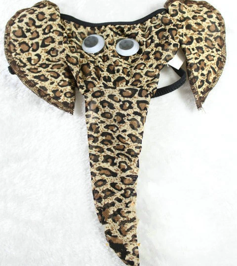 Leopard Elephant