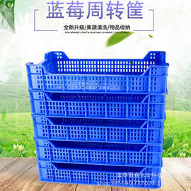 蓝莓采摘筐储运箱周转筐蓝色水果蔬菜筐冷藏筐冻果盘冷冻冷链专用