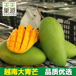 Происхождение источник Вьетнама, Вьетнам, 9 котливых манго, Золотой манго зеленый ман, свежий сезон, фрукты.