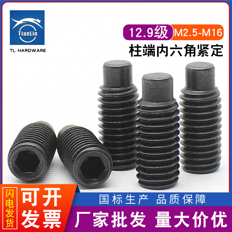 12.9级柱端内六角紧定螺丝GB79顶丝机米圆柱无头凸端螺丝M2.5-M16
