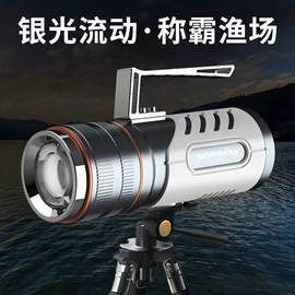 手电筒;头灯头戴电筒;钓鱼灯