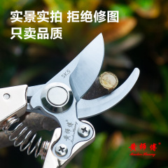 黃師傅SK5園藝省力樹枝剪粗枝 果樹修枝剪刀果枝剪 剪枝剪刀