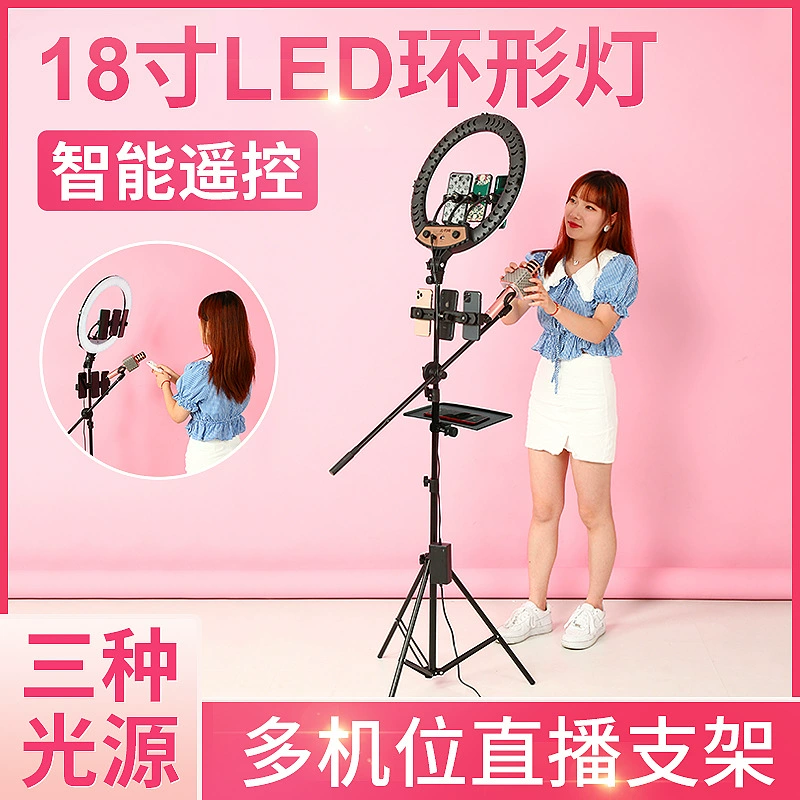 LED Ring Fill Light, Remote Control, Tripod & Phone Holder, Adjustable Brightness