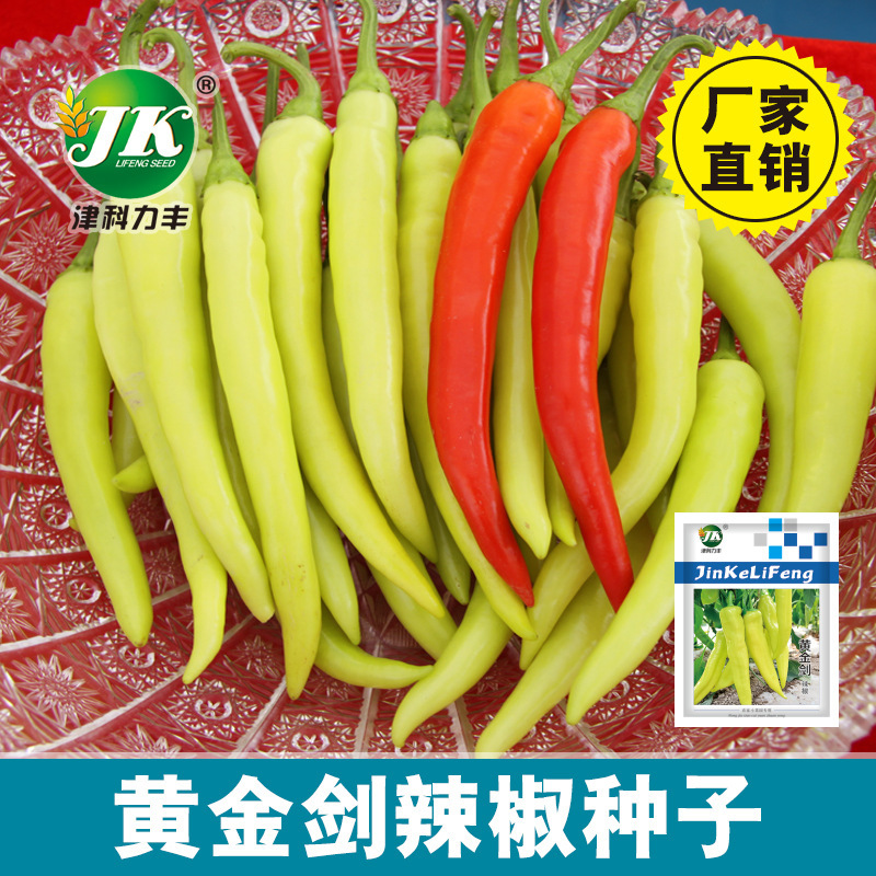 Factory Wholesale Yellow Pepper Seeds, Yellow Horn Pepper Seeds, Thin-Skinned, Crispy and Spicy Spring, Summer and Autum Vegetable Seeds Potted Plants