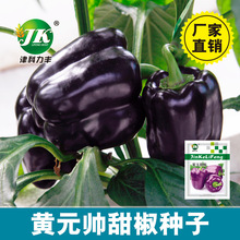 �S�����l��ɫ�𽷷N�Ӳʽ��N���^�pʳ���̨���Բ˽��ཷ�߲˷N��