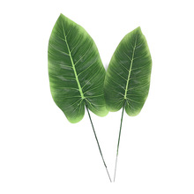 �����~���˽��Ž��~����~�廨�����c�ٻ�ֲ��������Ɍ��b�