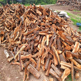 原木;竹木藤苇干草;木材加工