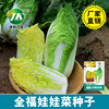 Baby vegetable seeds Early maturing yellow heart cabbage seeds are easy to plant spring and autumn sowing vegetable seeds, original color bag rapeseed