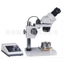 X-5@΢cyx cyԇx @΢cyx