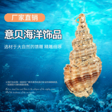 僽�߅�S�� �僺����Ʒ��� ��������������