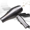Fashionable, 2300W