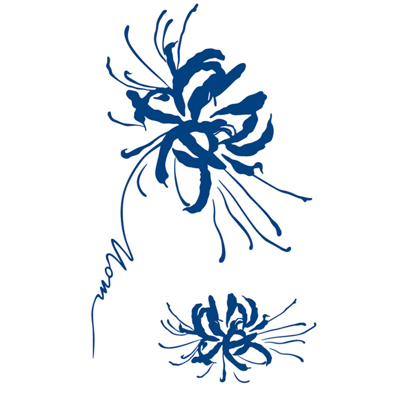 ジュースの紋章はネットの赤い紋章を貼って15日間の現物の卸売りの草本の植物の半永久の刺青のシールを持続します。