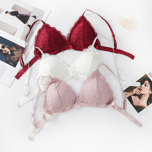 Lace bra for women, sexy French triangle cup sling, beautiful back bra, simple and light, no steel ring, student chest wrap