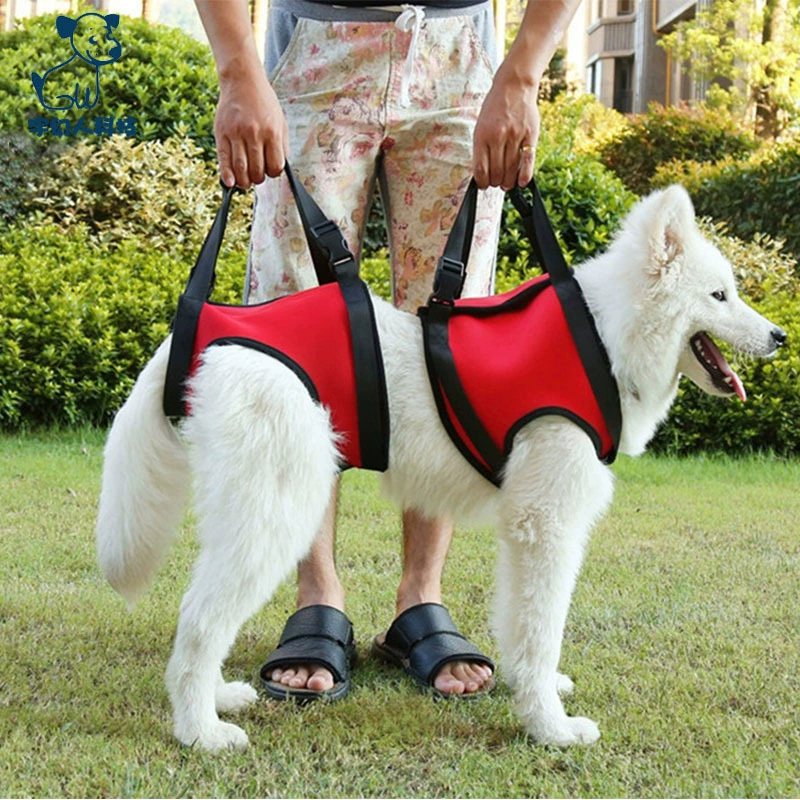 Товары для ухода за домашними животными для пожилых собак, чтобы помочь при ходьбе с высокоэластичным поясом для защиты суставов задних конечностей