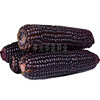 Sweet and sticky corn seeds black sweet glutinous sticky bud rice seed seed seeds and black glutinous sweet glutinous corn seeds