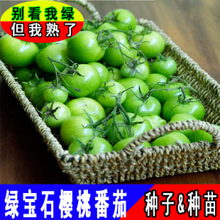 �G��ʯ����С���ѷN�ѾG��觾G�}Ů���ڸ�ˮ�����t���N�ӷN���ļ�