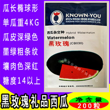 ̨���r�Ѻ�õ��YƷ���ϷN�Ӻ�ƤС������ˮ���N���ļ��Nֲ