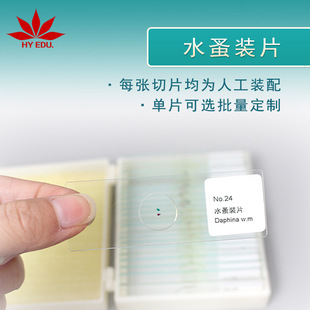 �@΢�R�̌W�о�������Ƭ ˮ���bƬ ���x������bƬ ���^����Ȥ