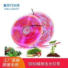 ϲ5050aֲLledܛl60/4t1{ 12Vˮ