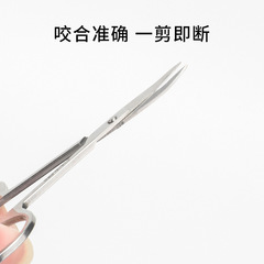 Stainless steel nose hair trimmer round head eyebrow scissors beauty scissors small scissors eyelash scissors beauty tools wholesale