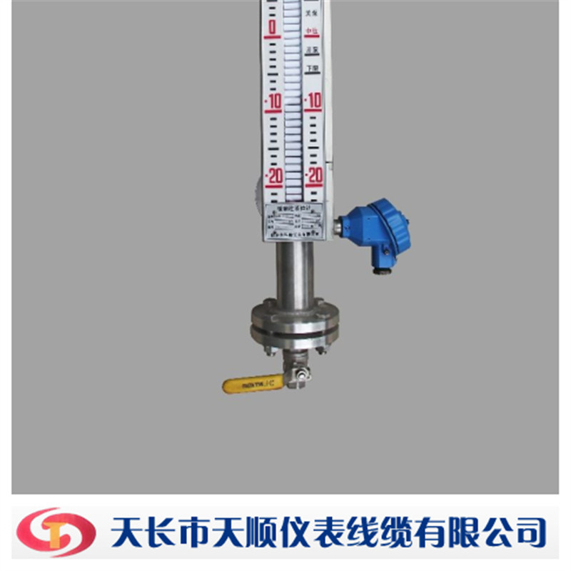 高温磁翻板液位计 可耐温度350℃ 带远传4-20mA输出