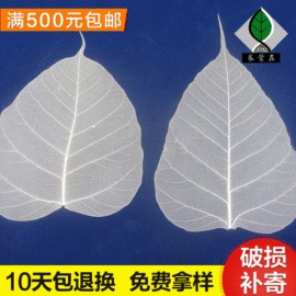 工艺原料;植物工艺品;书签