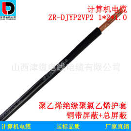 ZR-DJYP2VP2 1*2*1阻燃铜带屏蔽计算机电缆